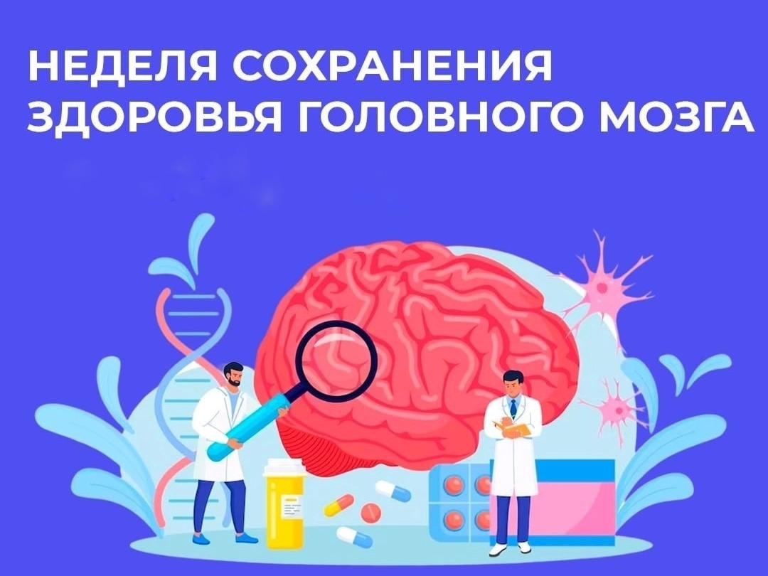 Неделя с 20 по 26 июля 2026 года объявлена Минздравом России неделей сохранения здоровья головного мозга.